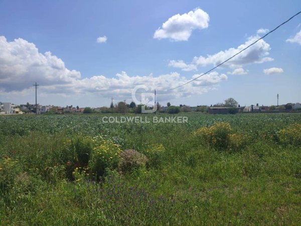 terreno agricolo in vendita a Ruffano in zona Torrepaduli