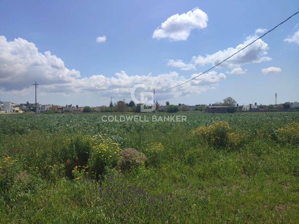 terreno agricolo in vendita a Ruffano in zona Torrepaduli