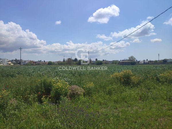 terreno agricolo in vendita a Ruffano in zona Torrepaduli