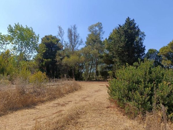 terreno agricolo in vendita a Ruffano