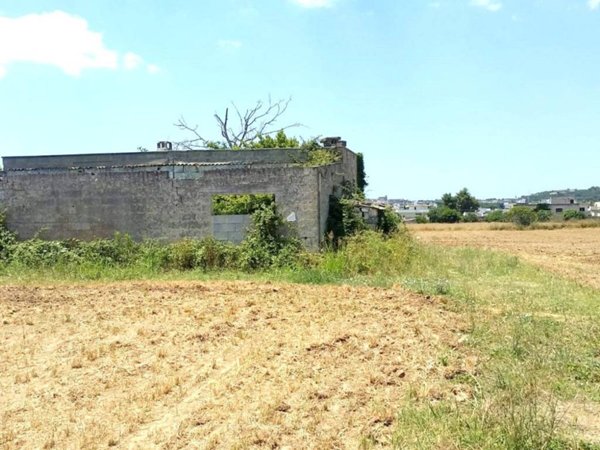 terreno agricolo in vendita a Ruffano