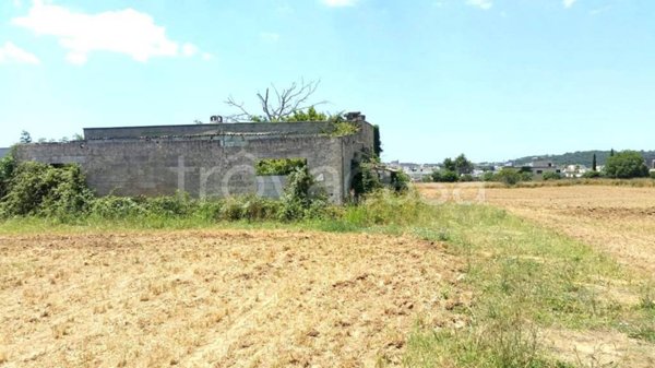 terreno agricolo in vendita a Ruffano