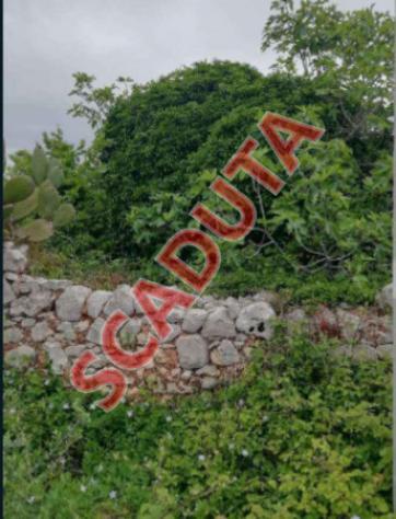 terreno agricolo in vendita a Ruffano