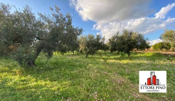 locale commerciale in vendita a Ruffano