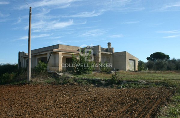 terreno agricolo in vendita a Ruffano
