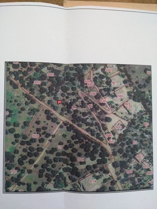 terreno agricolo in vendita a Ruffano