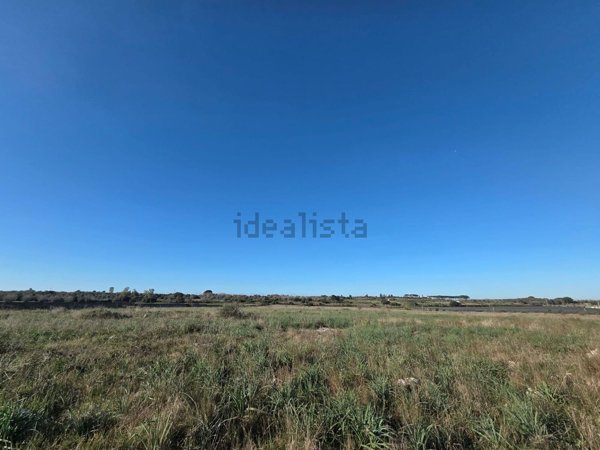 terreno agricolo in vendita a Ruffano