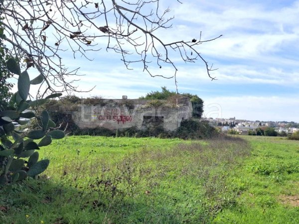 terreno agricolo in vendita a Ruffano in zona Torrepaduli