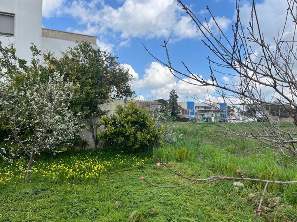 terreno edificabile in vendita a Ruffano in zona Torrepaduli