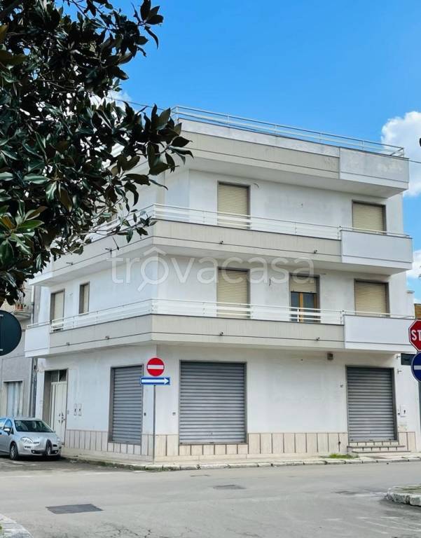 casa indipendente in vendita a Salice Salentino