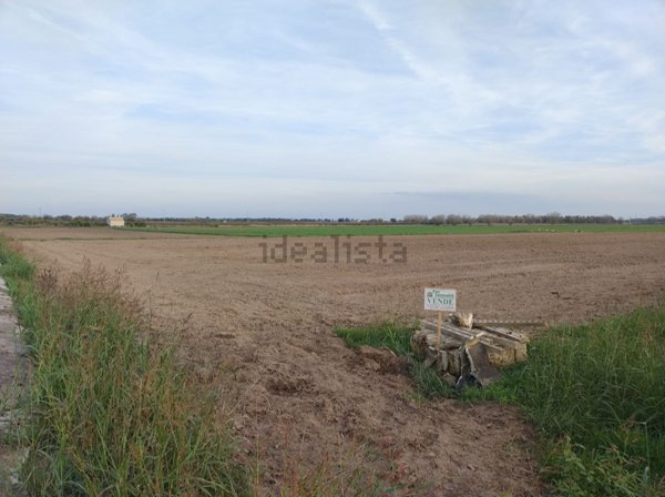 terreno agricolo in vendita a Salice Salentino