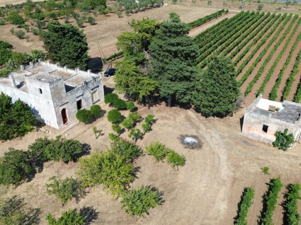 casa indipendente in vendita a Salice Salentino