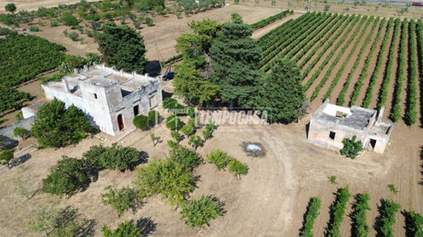 casa indipendente in vendita a Salice Salentino