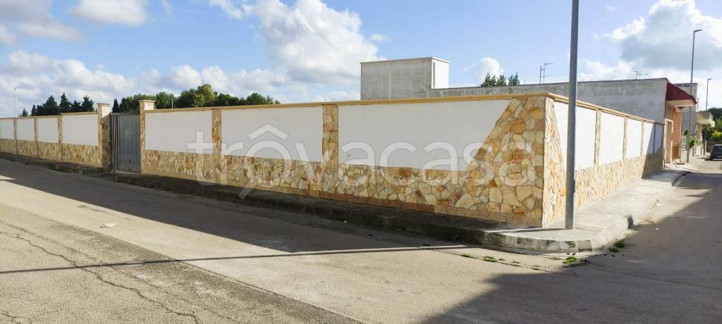 terreno agricolo in vendita a Salice Salentino