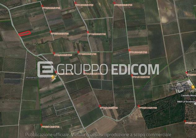 terreno agricolo in vendita a Salice Salentino