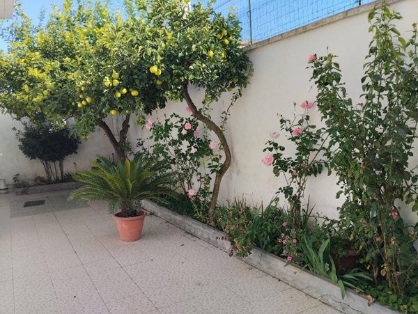 casa indipendente in vendita a Salice Salentino