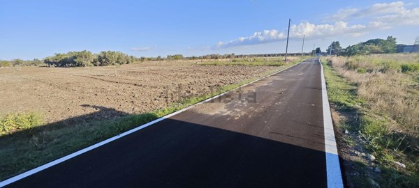 terreno agricolo in vendita a Salice Salentino