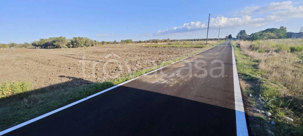 terreno agricolo in vendita a Salice Salentino