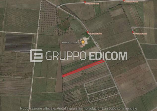 terreno agricolo in vendita a Salice Salentino