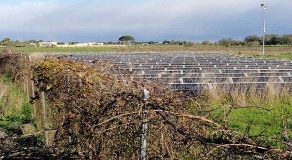 terreno agricolo in vendita a Salice Salentino