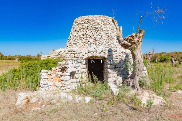 terreno agricolo in vendita a Salve