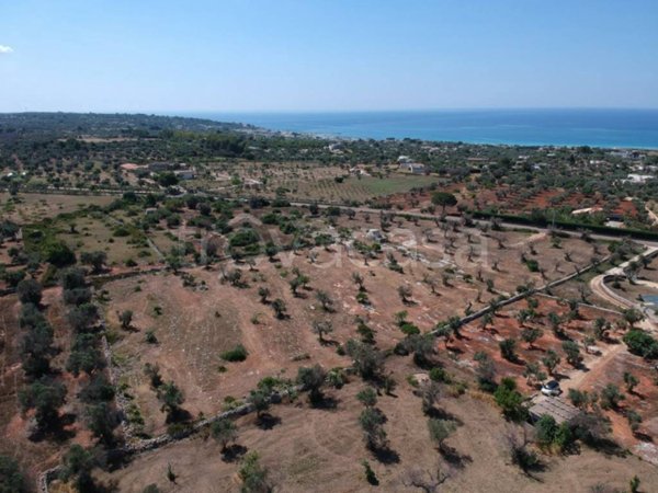 casa indipendente in vendita a Salve