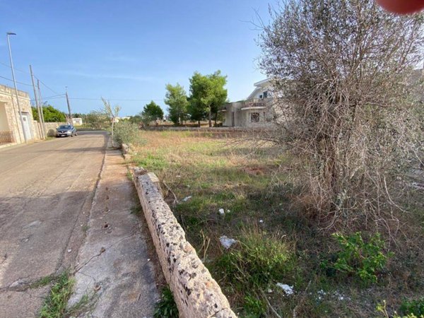 terreno agricolo in vendita a Salve in zona Ruggiano