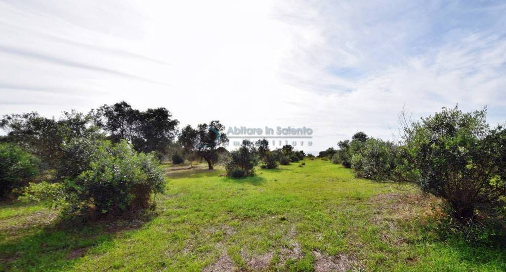 terreno agricolo in vendita a Salve in zona Torre Pali