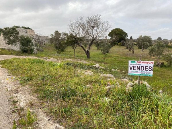 terreno agricolo in vendita a Salve