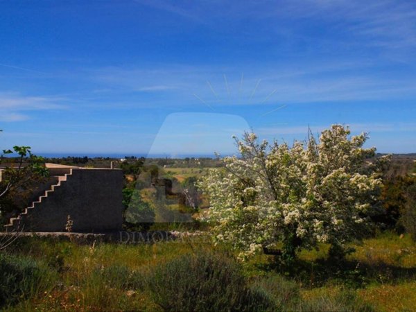 terreno agricolo in vendita a Salve