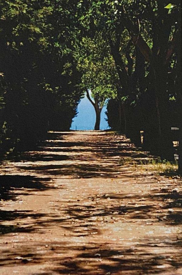 monolocale in vendita a Salve
