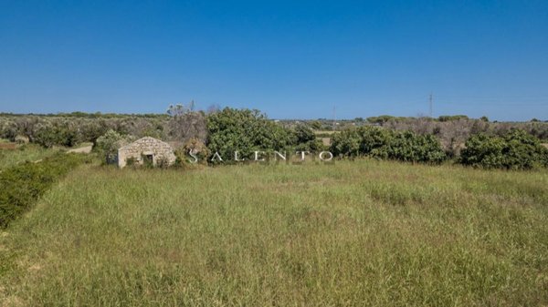 appartamento in vendita a Salve in zona Torre Pali