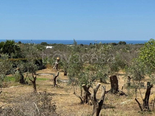 casa indipendente in vendita a Salve in zona Marina di Pescoluse