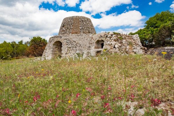 casa indipendente in vendita a Salve in zona Marina di Pescoluse
