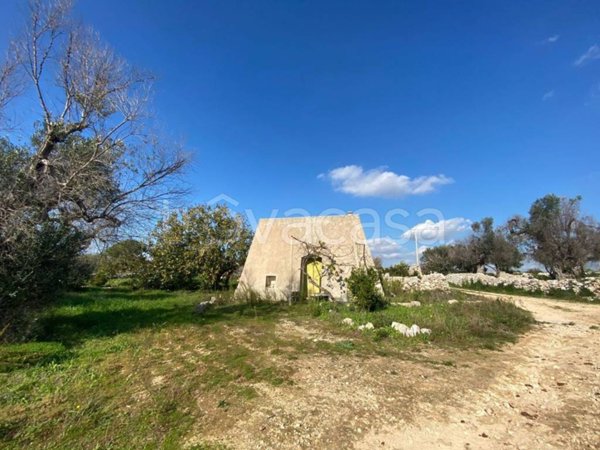 terreno agricolo in vendita a Salve