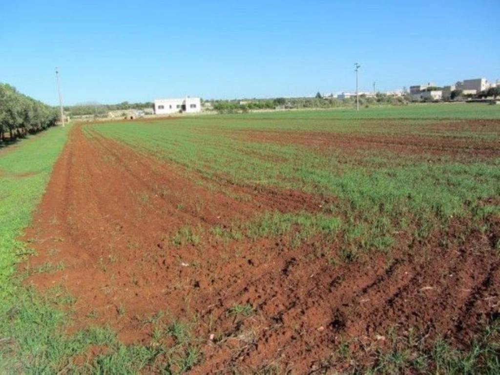 terreno agricolo in vendita a Salve in zona Ruggiano