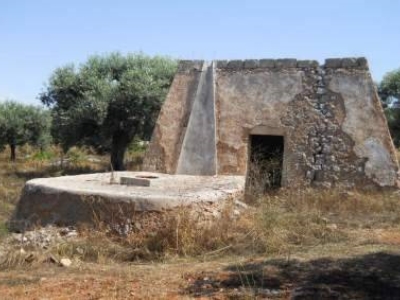 terreno agricolo in vendita a Salve