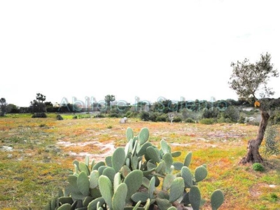 terreno agricolo in vendita a Salve in zona Torre Pali