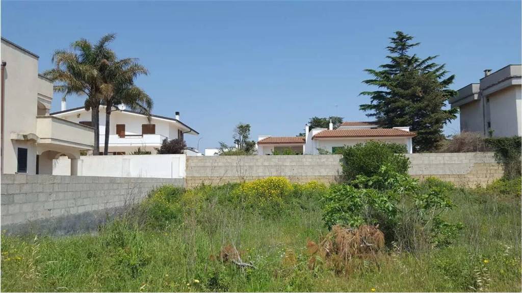 terreno agricolo in vendita a Salve