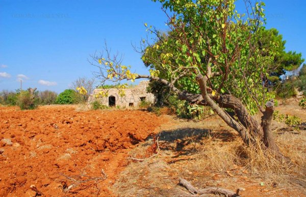 terreno agricolo in vendita a Salve