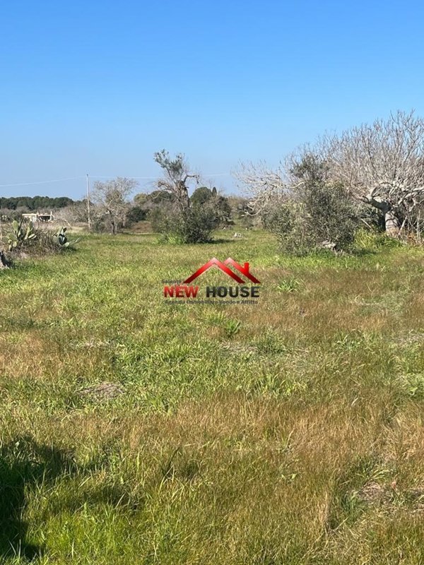 terreno agricolo in vendita a Salve in zona Marina di Pescoluse