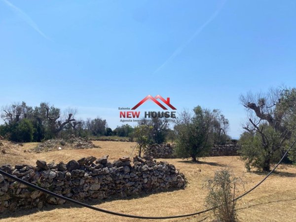 terreno agricolo in vendita a Salve in zona Marina di Pescoluse