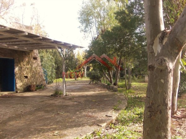 quadrivano in vendita a Salve in zona Torre Pali