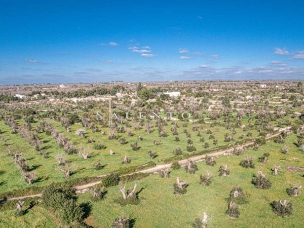 terreno agricolo in vendita a Salve