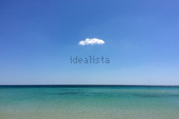 terreno agricolo in vendita a Salve