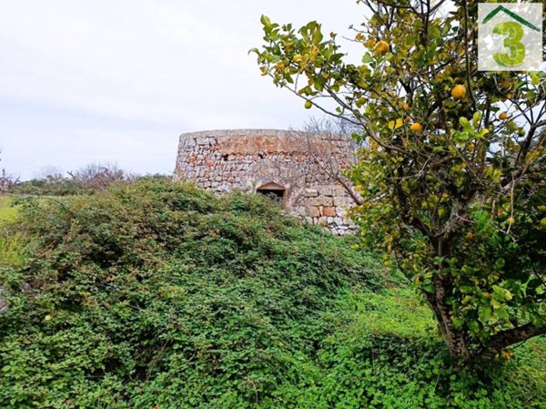 terreno agricolo in vendita a Salve