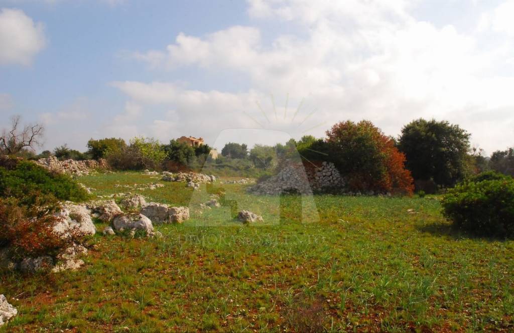 terreno agricolo in vendita a Salve