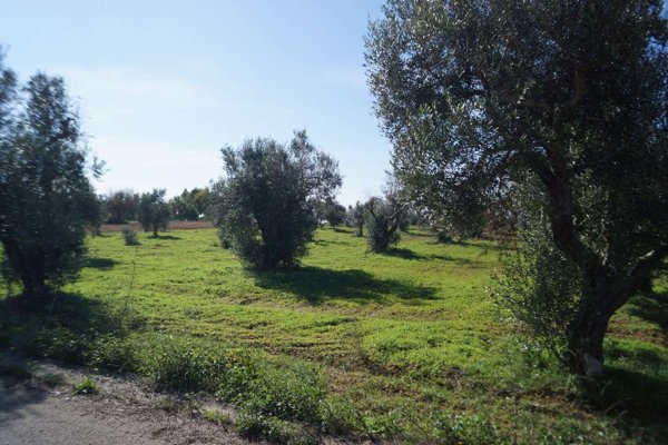 casa indipendente in vendita a Salve in zona Marina di Pescoluse