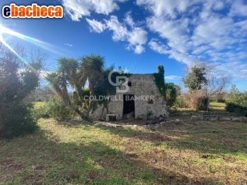 casa indipendente in vendita a Salve