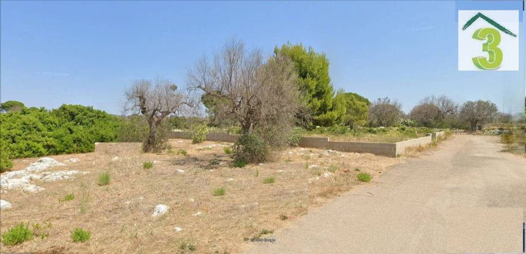 terreno agricolo in vendita a Salve